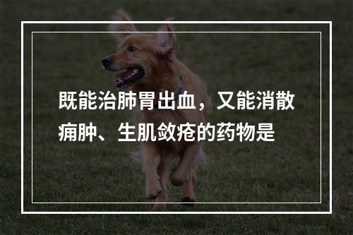 既能治肺胃出血，又能消散痈肿、生肌敛疮的药物是