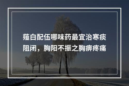 薤白配伍哪味药最宜治寒痰阻闭，胸阳不振之胸痹疼痛