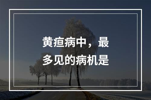 黄疸病中，最多见的病机是