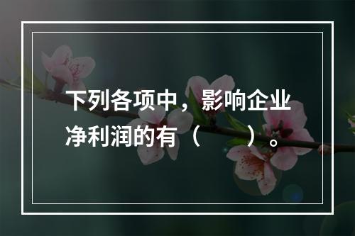 下列各项中，影响企业净利润的有（　　）。