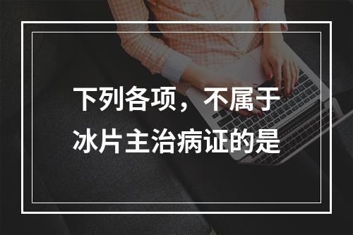 下列各项，不属于冰片主治病证的是