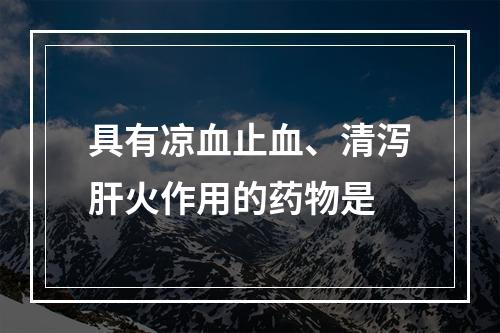 具有凉血止血、清泻肝火作用的药物是