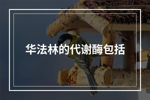 华法林的代谢酶包括