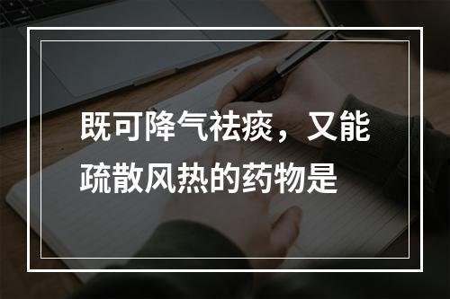 既可降气祛痰，又能疏散风热的药物是