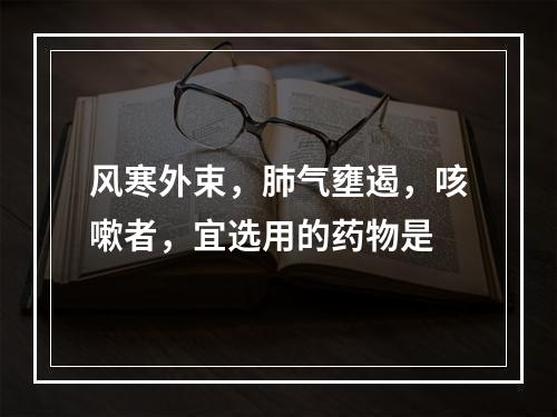 风寒外束，肺气壅遏，咳嗽者，宜选用的药物是