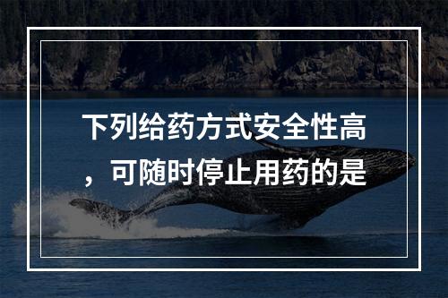 下列给药方式安全性高，可随时停止用药的是