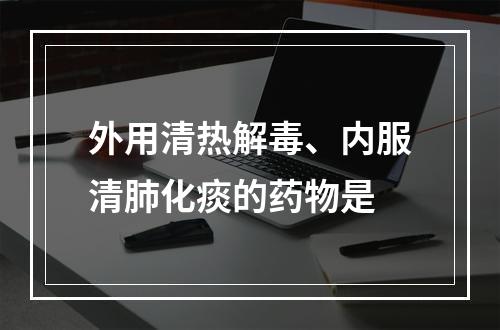 外用清热解毒、内服清肺化痰的药物是