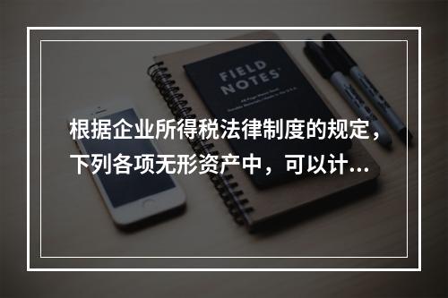 根据企业所得税法律制度的规定，下列各项无形资产中，可以计算摊