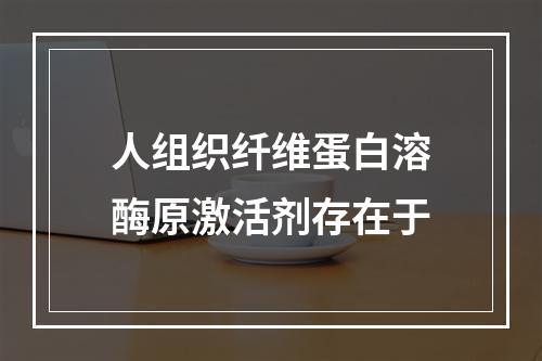 人组织纤维蛋白溶酶原激活剂存在于