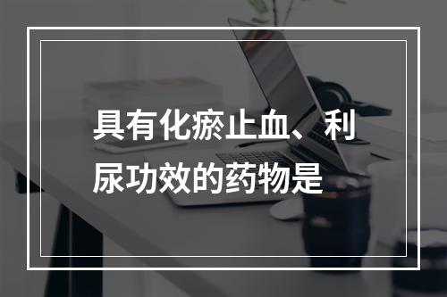 具有化瘀止血、利尿功效的药物是