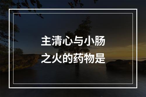 主清心与小肠之火的药物是