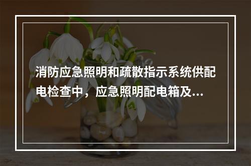 消防应急照明和疏散指示系统供配电检查中，应急照明配电箱及应急