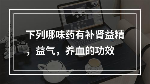 下列哪味药有补肾益精，益气，养血的功效