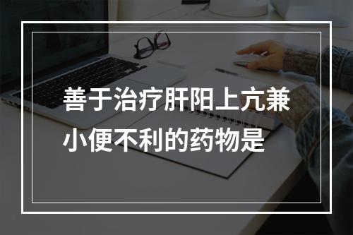 善于治疗肝阳上亢兼小便不利的药物是