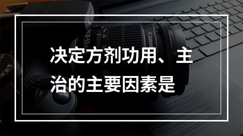 决定方剂功用、主治的主要因素是