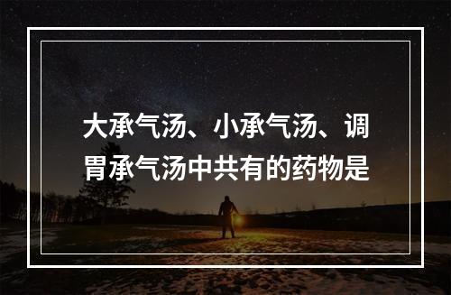 大承气汤、小承气汤、调胃承气汤中共有的药物是