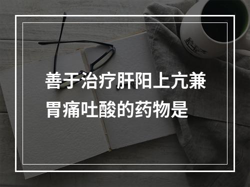 善于治疗肝阳上亢兼胃痛吐酸的药物是