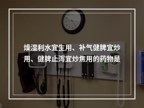 燥湿利水宜生用、补气健脾宜炒用、健脾止泻宜炒焦用的药物是