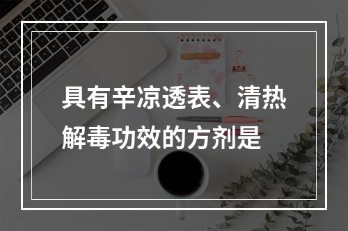 具有辛凉透表、清热解毒功效的方剂是