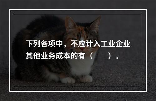 下列各项中，不应计入工业企业其他业务成本的有（　　）。