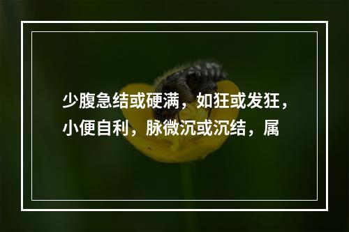 少腹急结或硬满，如狂或发狂，小便自利，脉微沉或沉结，属