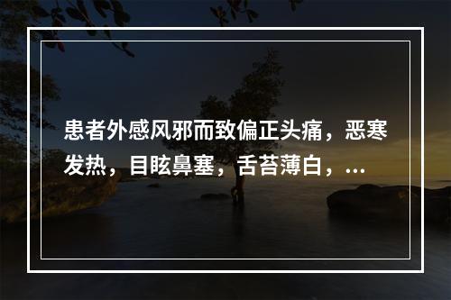 患者外感风邪而致偏正头痛，恶寒发热，目眩鼻塞，舌苔薄白，脉浮