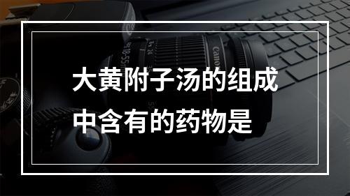 大黄附子汤的组成中含有的药物是