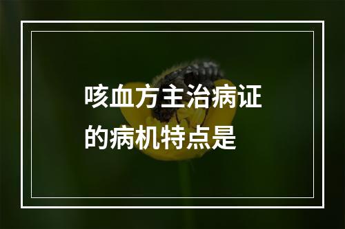 咳血方主治病证的病机特点是