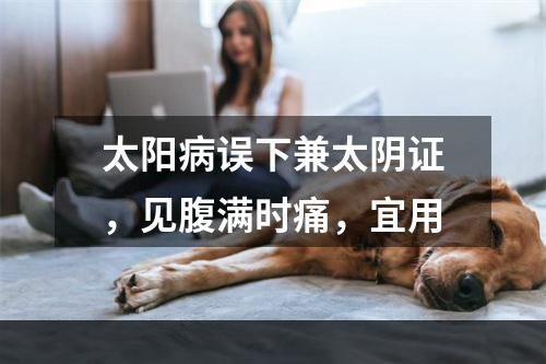 太阳病误下兼太阴证，见腹满时痛，宜用