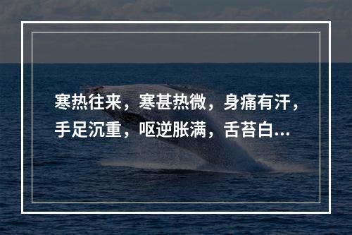 寒热往来，寒甚热微，身痛有汗，手足沉重，呕逆胀满，舌苔白厚腻