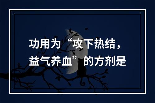 功用为“攻下热结，益气养血”的方剂是