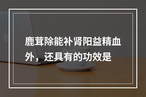 鹿茸除能补肾阳益精血外，还具有的功效是