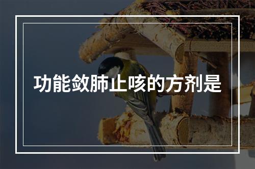 功能敛肺止咳的方剂是