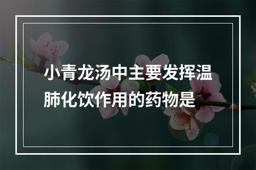 小青龙汤中主要发挥温肺化饮作用的药物是