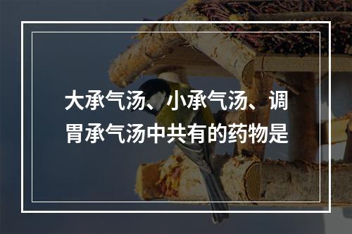 大承气汤、小承气汤、调胃承气汤中共有的药物是