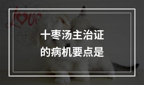 十枣汤主治证的病机要点是