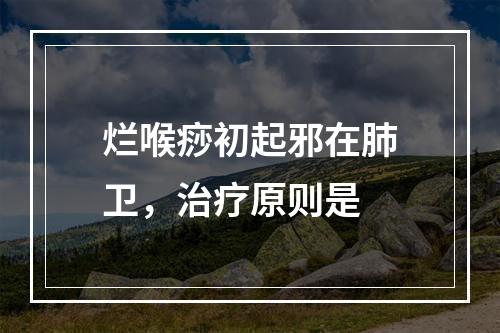 烂喉痧初起邪在肺卫，治疗原则是