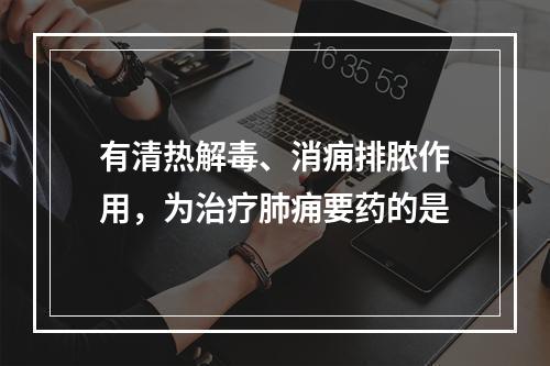 有清热解毒、消痈排脓作用，为治疗肺痈要药的是