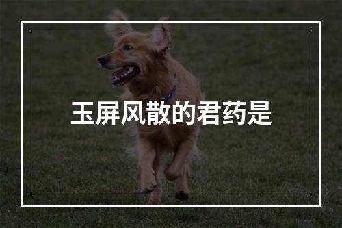 玉屏风散的君药是