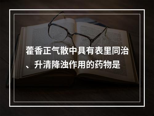 藿香正气散中具有表里同治、升清降浊作用的药物是