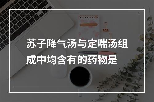 苏子降气汤与定喘汤组成中均含有的药物是