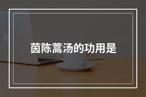 茵陈蒿汤的功用是