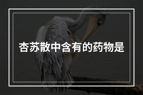 杏苏散中含有的药物是