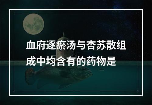 血府逐瘀汤与杏苏散组成中均含有的药物是