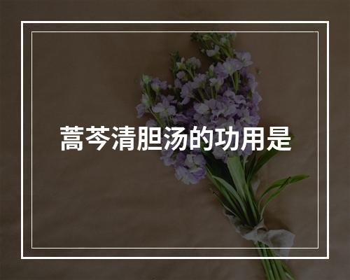 蒿芩清胆汤的功用是