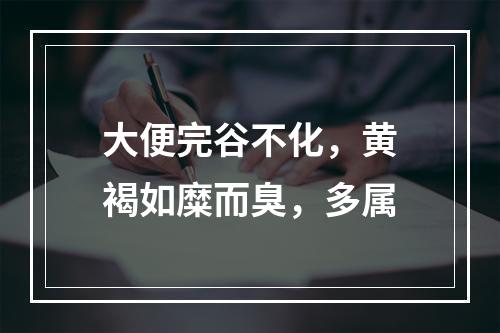 大便完谷不化，黄褐如糜而臭，多属