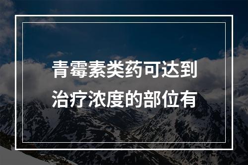 青霉素类药可达到治疗浓度的部位有