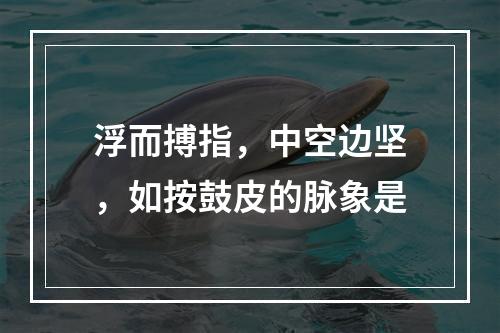 浮而搏指，中空边坚，如按鼓皮的脉象是