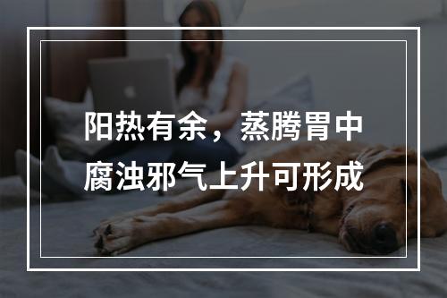 阳热有余，蒸腾胃中腐浊邪气上升可形成