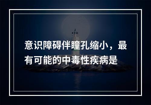 意识障碍伴瞳孔缩小，最有可能的中毒性疾病是